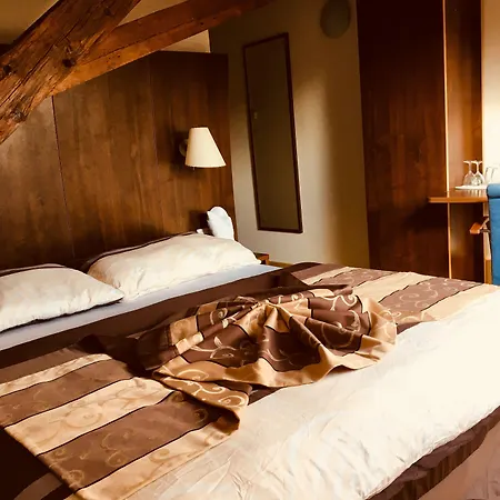 Hotel U Cerneho Orla